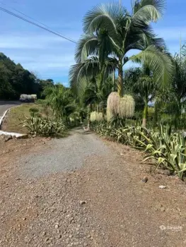 Imagem do anúnio: Vendo fazenda / sítio / chácara em Concórdia , Santa Catarina no bairro BR 153