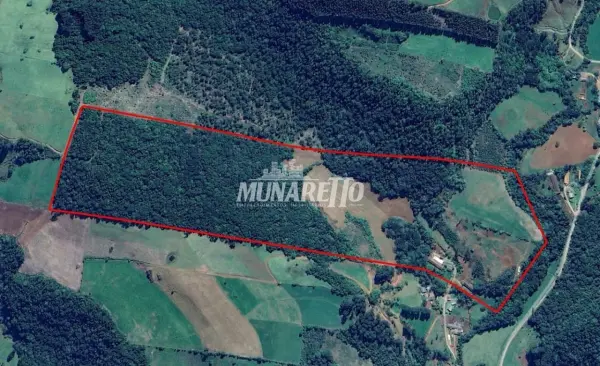 Imagem do anúnio: Vendo casa em Lindoia do Sul , Santa Catarina no bairro 15 de Novembro