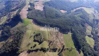 Imagem do anúncio: Vendo fazenda / sítio / chácara em Concórdia , Santa Catarina no bairro Interior