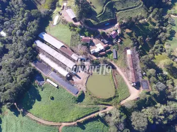 Imagem do anúnio: Vendo casa em Lindoia do Sul , Santa Catarina no bairro Linha Azul