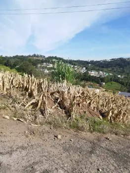 Imagem do anúncio: Vendo terreno / lote / condomínio em Concórdia , Santa Catarina no bairro Fragosos