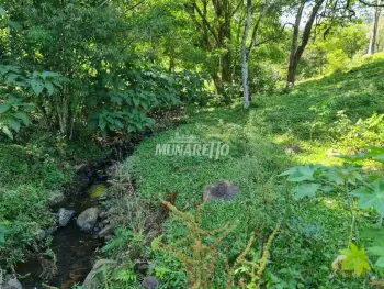 Imagem do anúncio: Vendo fazenda / sítio / chácara em Concórdia , Santa Catarina no bairro Fragosos