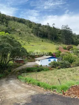 Imagem do anúncio: Vendo fazenda / sítio / chácara em Piratuba , Santa Catarina no bairro Linha Alto Gramado