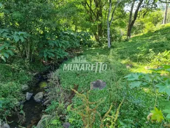 Imagem do anúnio: Vendo casa em Concórdia , Santa Catarina no bairro Fragosos