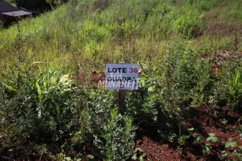 Imagem do anúncio: Vendo terreno / lote / condomínio em Ipira , Santa Catarina no bairro Centro