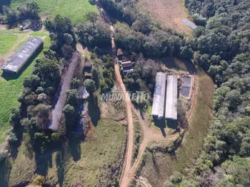 Imagem do anúncio: Vendo fazenda / sítio / chácara em Jaborá , Santa Catarina no bairro Interior