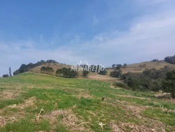 Imagem do anúncio: Vendo fazenda / sítio / chácara em Concórdia , Santa Catarina no bairro Linha Cachimbo