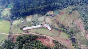 Imagem do anúnio: Vendo casa em Concórdia , Santa Catarina no bairro Interior