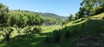 Imagem do anúncio: Vendo fazenda / sítio / chácara em Ipira , Santa Catarina no bairro Linha Penísula