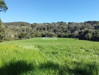 Imagem do anúncio: Vendo casa em Concórdia , Santa Catarina no bairro Área Rural de Concórdia