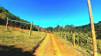 Imagem do anúnio: Vendo fazenda / sítio / chácara em Fraiburgo , Santa Catarina no bairro Interior Linha Britador
