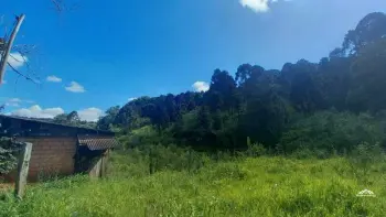 Imagem do anúnio: Vendo fazenda / sítio / chácara em Fraiburgo , Santa Catarina no bairro Interior