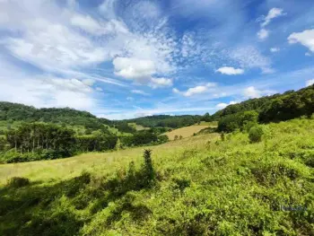 Imagem do anúnio: Vendo fazenda / sítio / chácara em Herval D'Oeste , Santa Catarina