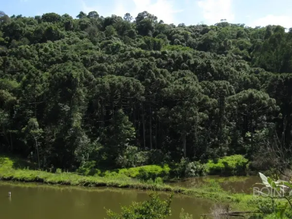 Imagem do anúnio: Vendo fazenda / sítio / chácara em Ipira , Santa Catarina no bairro Linha dos Pintos