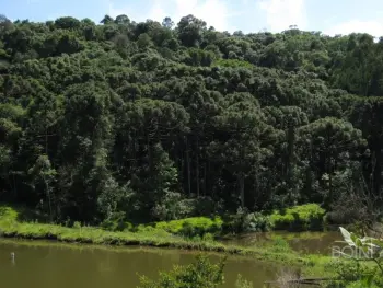 Imagem do anúnio: Vendo fazenda / sítio / chácara em Ipira , Santa Catarina no bairro Linha dos Pintos