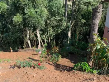 Imagem do anúnio: Vendo terreno / lote / condomínio em Piratuba , Santa Catarina no bairro Balneário