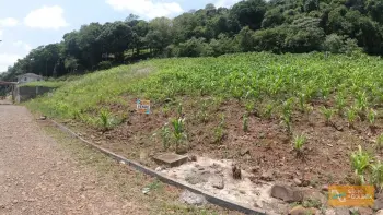 Imagem do anúnio: Vendo terreno / lote / condomínio em Herval D'Oeste , Santa Catarina no bairro Centro