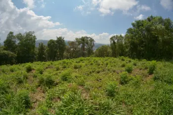 Imagem do anúnio: Vendo terreno / lote / condomínio em Joaçaba , Santa Catarina no bairro Vila Simone