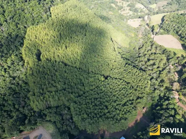 Imagem do anúnio:  chácara em Ibiam , Santa Catarina no bairro Interior