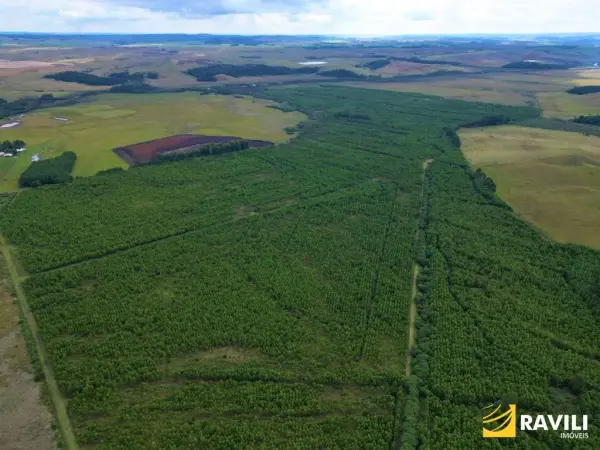 Imagem do anúnio:  fazenda / sítio / chácara em Água Doce , Santa Catarina no bairro Interior