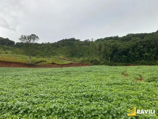 Imagem do anúnio:  fazenda / sítio / chácara em Água Doce , Santa Catarina no bairro Interior