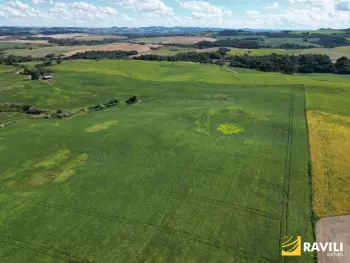 Imagem do anúnio:  fazenda / sítio / chácara em Erval Velho , Santa Catarina no bairro Interior