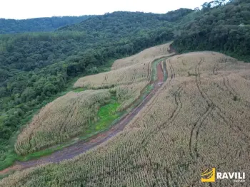 Imagem do anúnio:  fazenda / sítio / chácara em Luzerna , Santa Catarina no bairro Interior