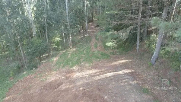 Imagem do anúnio: Vendo fazenda / sítio / chácara em Macieira , Santa Catarina no bairro Linha Santo Antonio