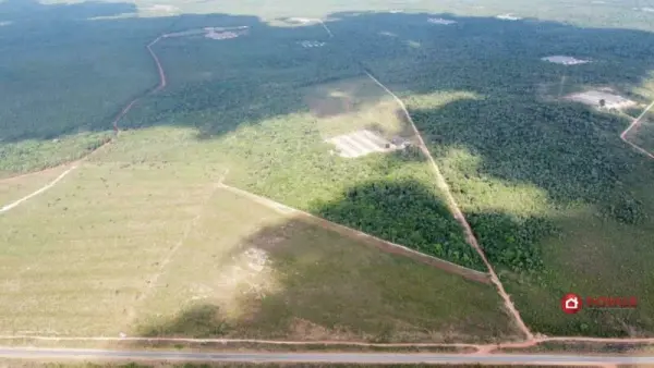 Imagem do anúnio: Vendo fazenda / sítio / chácara em Nova Mutum , Mato Grosso no bairro Nova Mutum