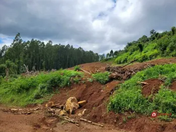 Imagem do anúnio: Vendo fazenda / sítio / chácara em Iomerê , Santa Catarina no bairro Interior