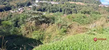 Imagem do anúncio: Vendo terreno / lote / condomínio em Videira , Santa Catarina no bairro Carelli