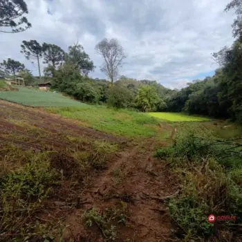 Imagem do anúnio: Vendo fazenda / sítio / chácara em Videira , Santa Catarina no bairro Campina Bela