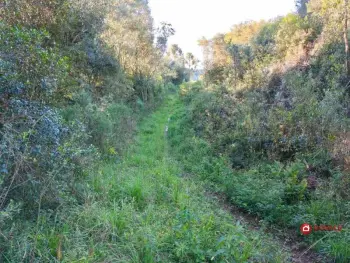 Imagem do anúncio: Vendo fazenda / sítio / chácara em Rio das Antas , Santa Catarina no bairro Interior