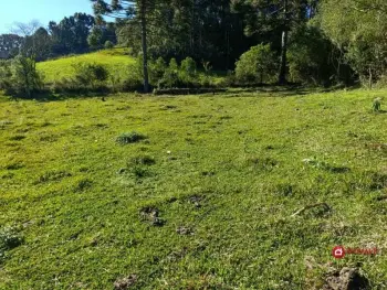 Imagem do anúncio: Vendo fazenda / sítio / chácara em Rio das Antas , Santa Catarina no bairro Linha Moresco