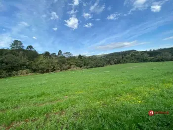 Imagem do anúnio: Vendo fazenda / sítio / chácara em Videira , Santa Catarina no bairro Linha São José