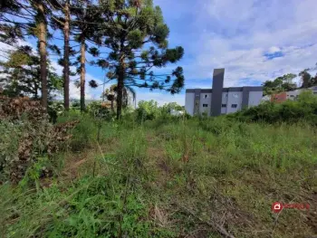 Imagem do anúnio: Vendo terreno / lote / condomínio em Videira , Santa Catarina no bairro Floresta