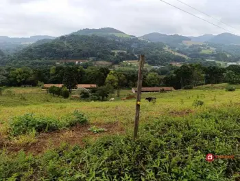 Imagem do anúnio: Vendo fazenda / sítio / chácara em Videira , Santa Catarina no bairro Anta Gorda