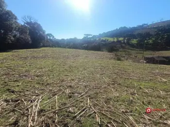 Imagem do anúncio: Vendo fazenda / sítio / chácara em Videira , Santa Catarina no bairro Farroupilha