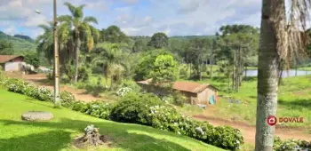Imagem do anúnio: Vendo fazenda / sítio / chácara em Videira , Santa Catarina no bairro Linha São Pedro