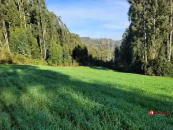 Imagem do anúnio: Vendo fazenda / sítio / chácara em Fraiburgo , Santa Catarina no bairro Vista Alegre