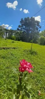Imagem do anúnio: Vendo fazenda / sítio / chácara em Videira , Santa Catarina no bairro Farroupilha
