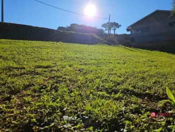 Imagem do anúncio: Vendo terreno / lote / condomínio em Videira , Santa Catarina no bairro Loteamento Guzzi