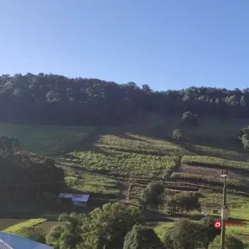 Imagem do anúnio: Vendo fazenda / sítio / chácara em Videira , Santa Catarina no bairro Linha São Roque