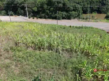 Imagem do anúnio: Vendo terreno / lote / condomínio em Videira , Santa Catarina no bairro Panazzolo