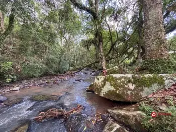 Imagem do anúncio: Vendo fazenda / sítio / chácara em Rio das Antas , Santa Catarina no bairro Ipomeia