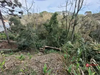 Imagem do anúnio: Vendo terreno / lote / condomínio em Videira , Santa Catarina no bairro Cibrazém