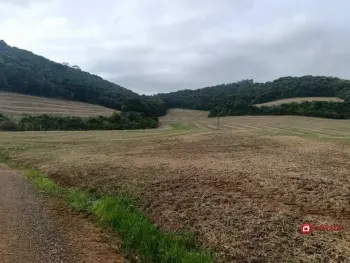 Imagem do anúnio: Vendo fazenda / sítio / chácara em Tangará , Santa Catarina no bairro Passo da Felicidade