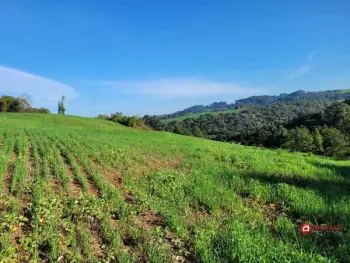 Imagem do anúnio: Vendo fazenda / sítio / chácara em Fraiburgo , Santa Catarina no bairro Vista Alegre