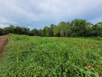Imagem do anúnio: Vendo fazenda / sítio / chácara em Videira , Santa Catarina no bairro Linha Fantin