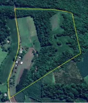 Imagem do anúnio: Vendo terreno / lote / condomínio em Videira , Santa Catarina no bairro Linha Papuã